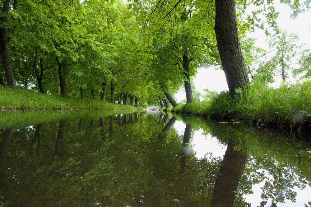 Симметрия природы