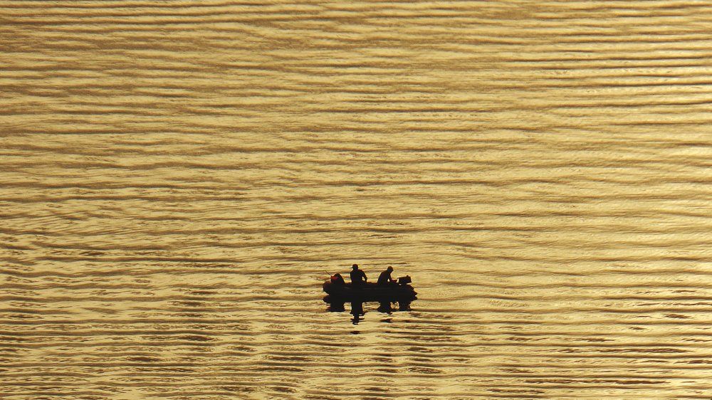 Золото Волги