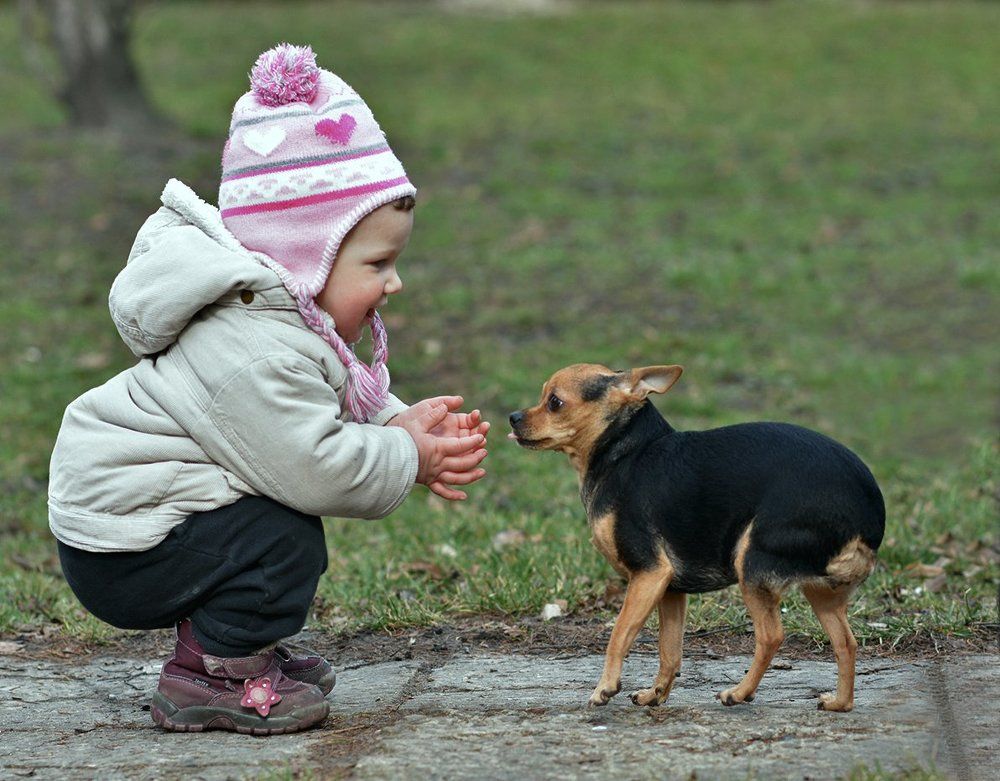 Знакомство