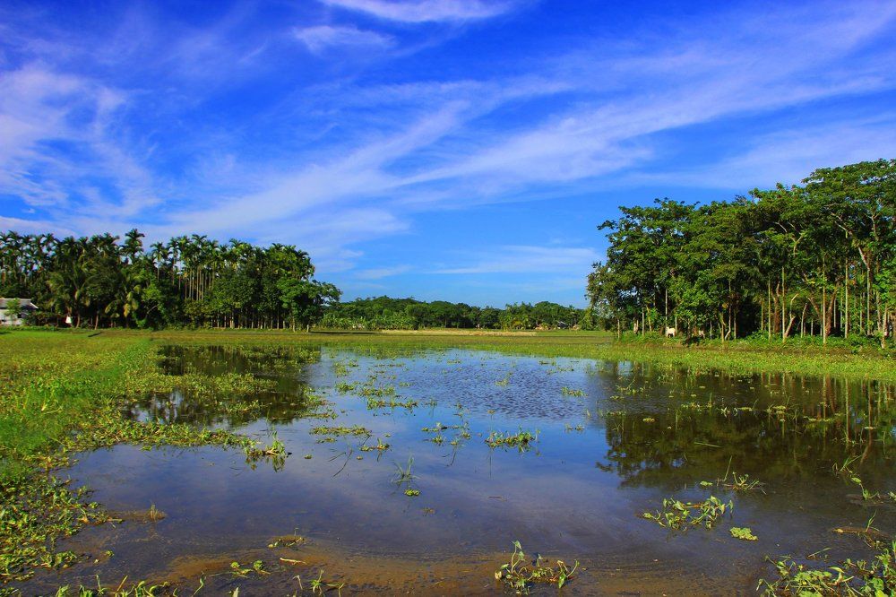 Village beauty in the evening