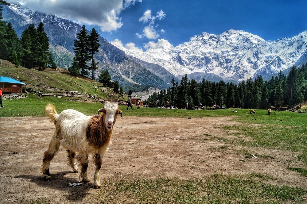 Hello from the other side....