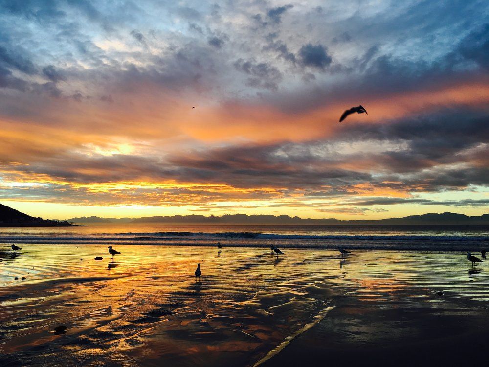 Golden Dawn