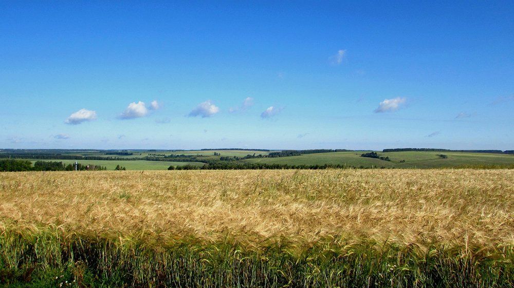 просторы....