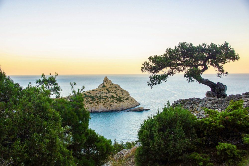 Photograph by вадим аврахов