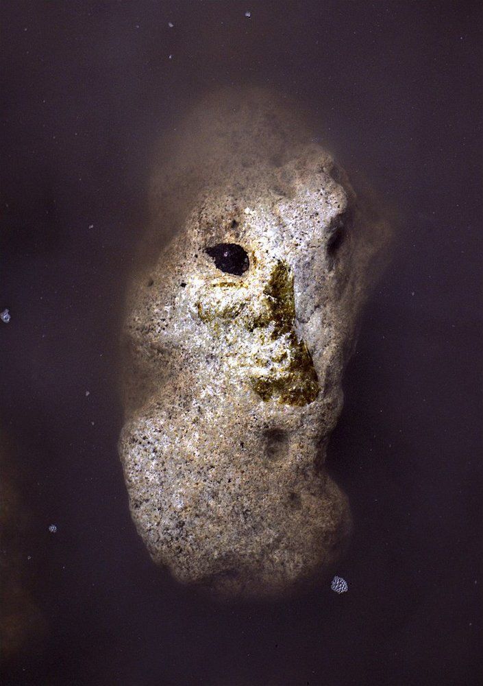 "Каменный облик"