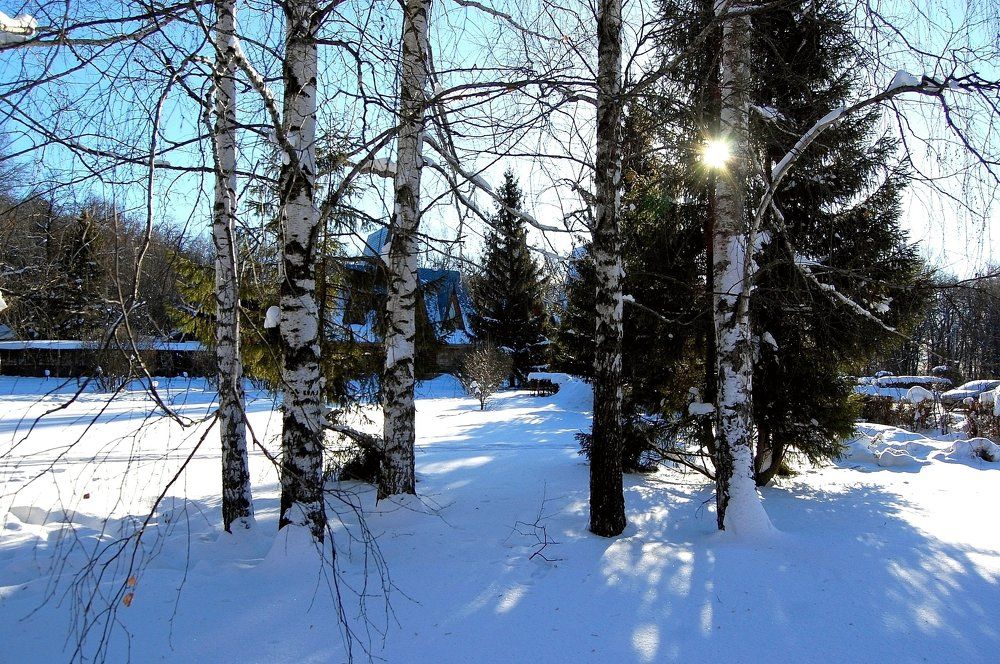 У леса на опушке