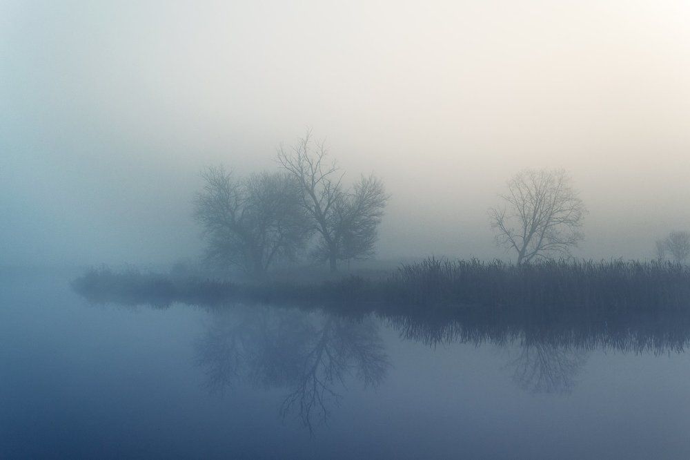 Autumn landscape in the mist