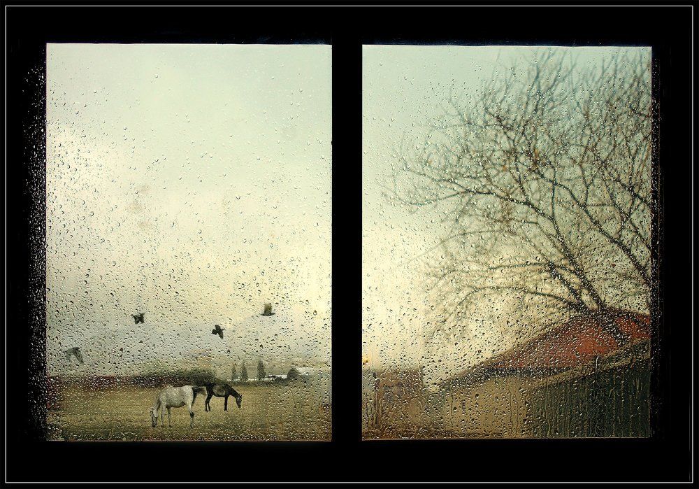 Autumn behind a window