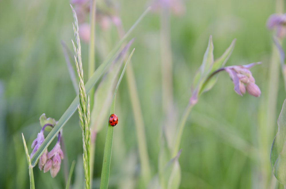 Photograph by Александр