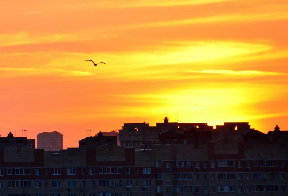 В небе над городом