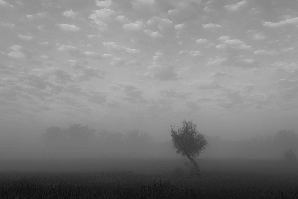 Фотография автора Игорь Баранов