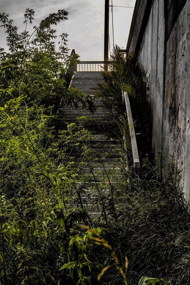 Забытый город