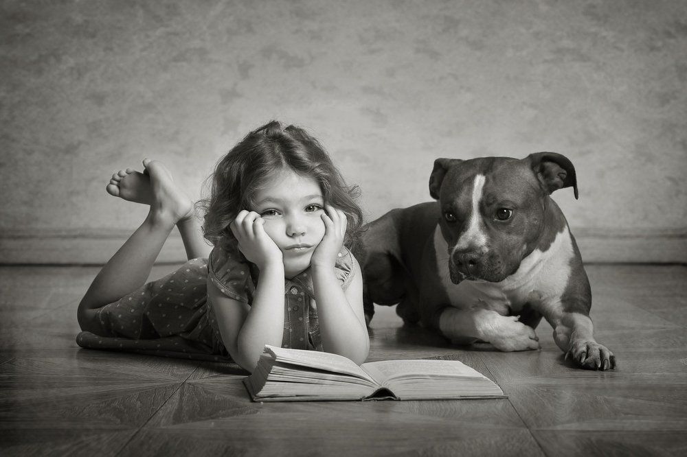 Скучная книга