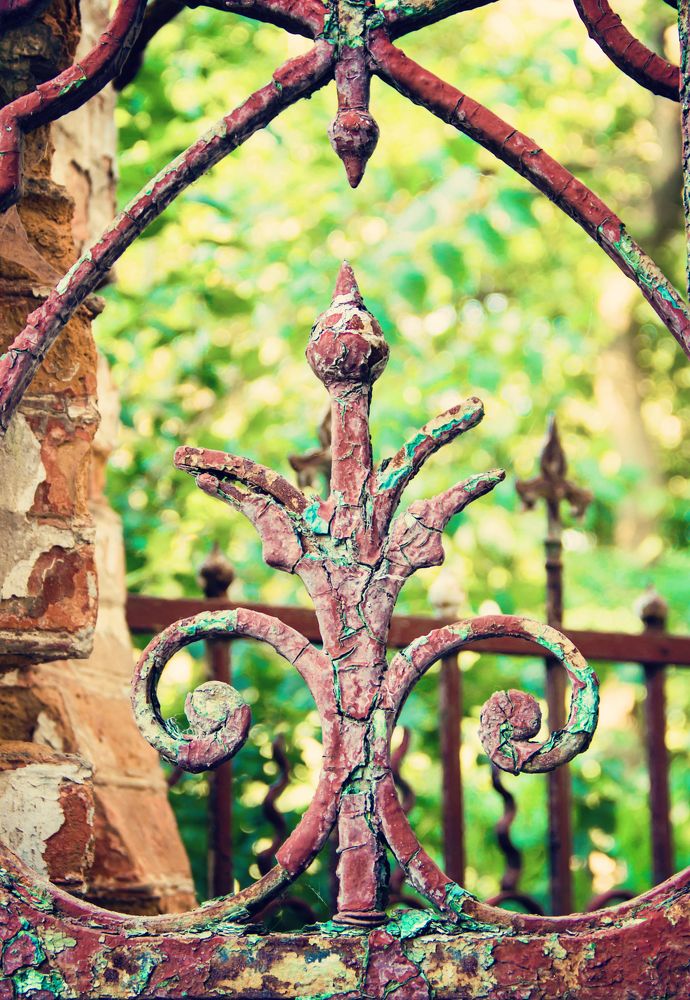 старый забор