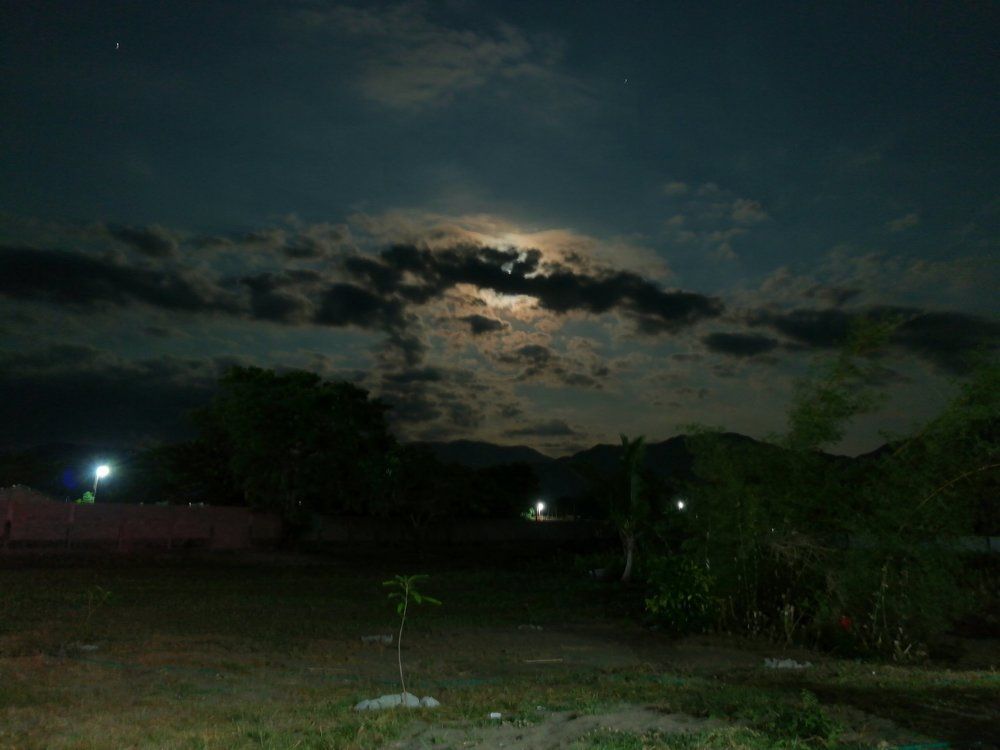 Night Sky in Province