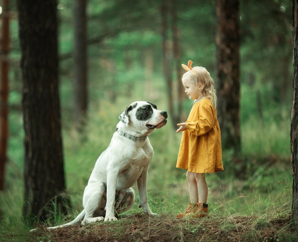 Фотография автора Анна Евгеньева