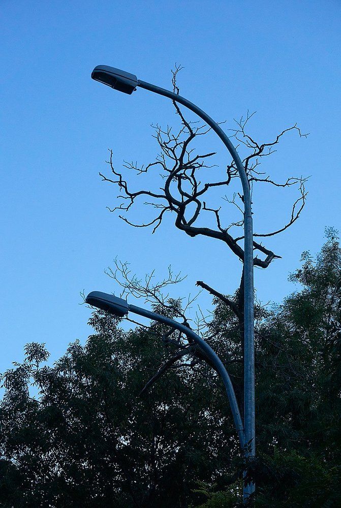 Переплетение