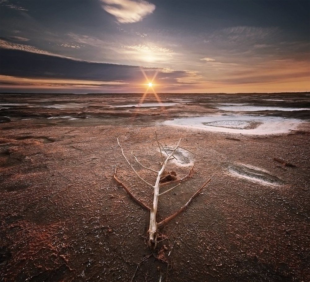 Солёные степи горячей Земли