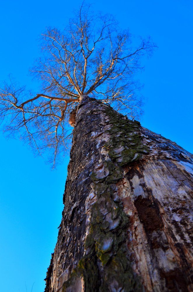 Когда-то жизнь была.....