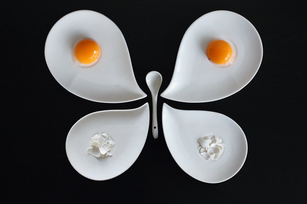 Завтрак энтомолога