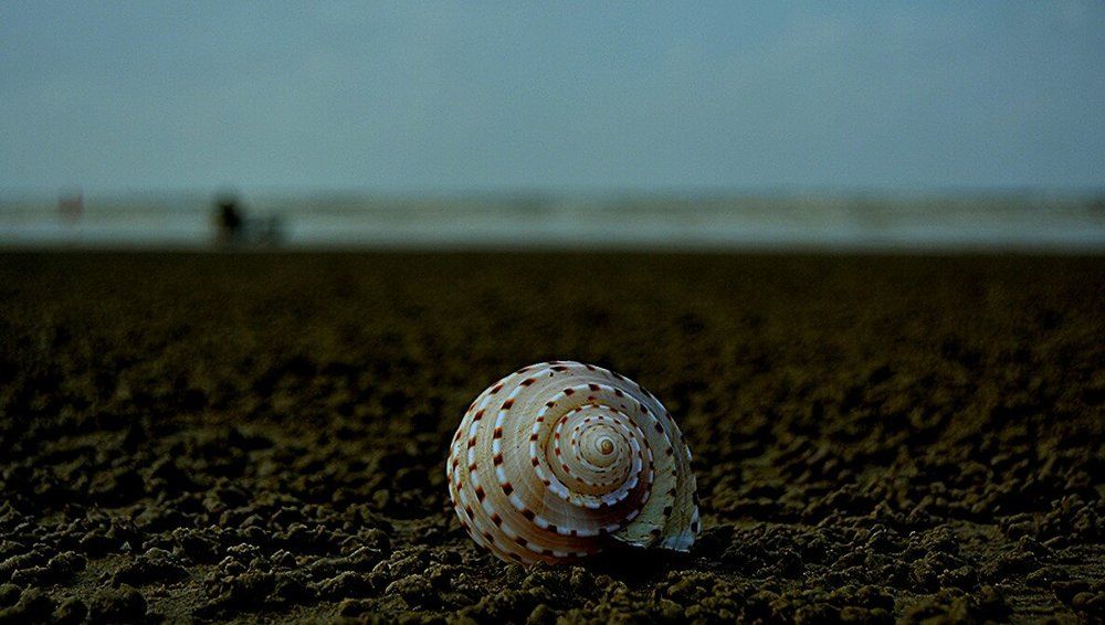 lone soul