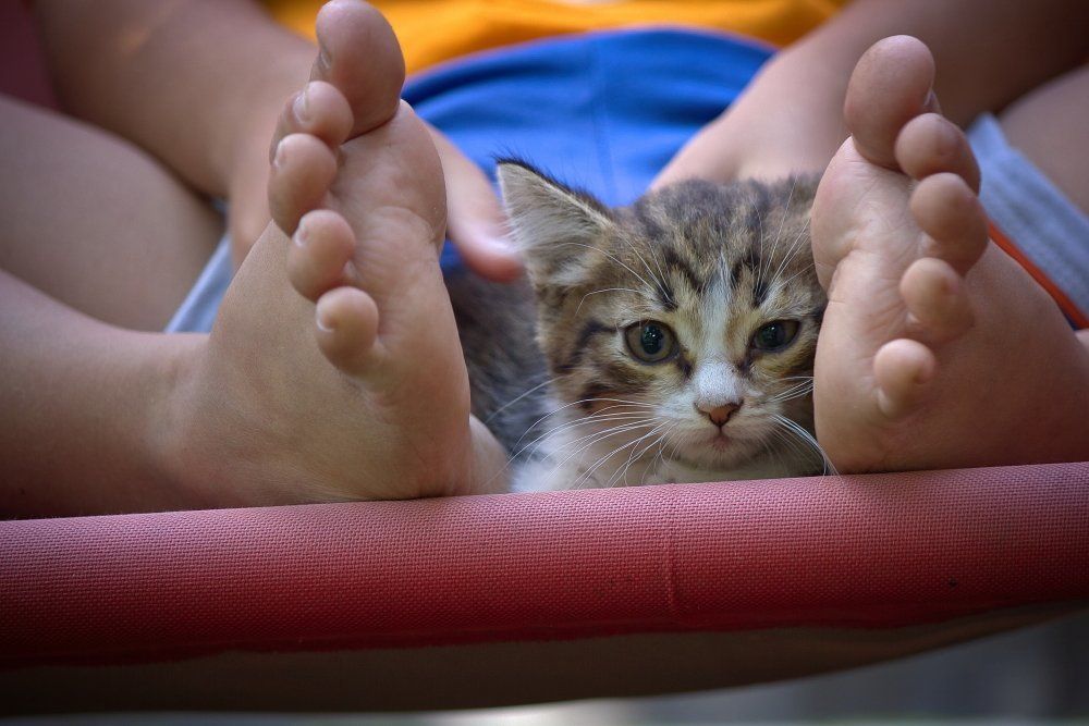 "Друзья - не разлей вода"