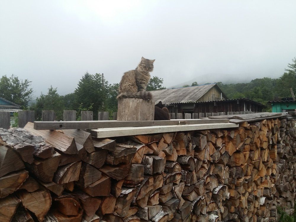 Дровяной страж...