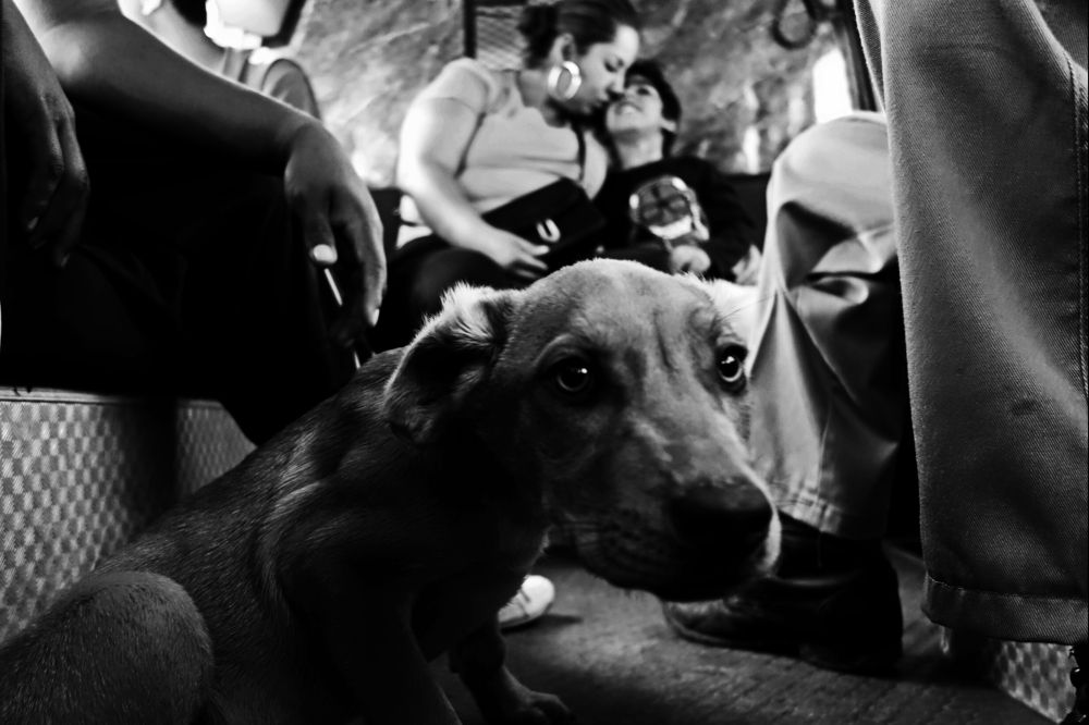 Photograph by Юлия Смольникова