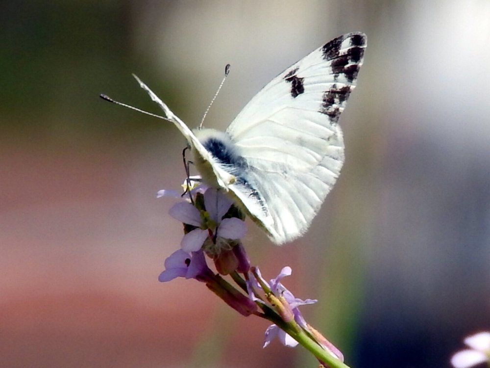 Photograph by Наталья