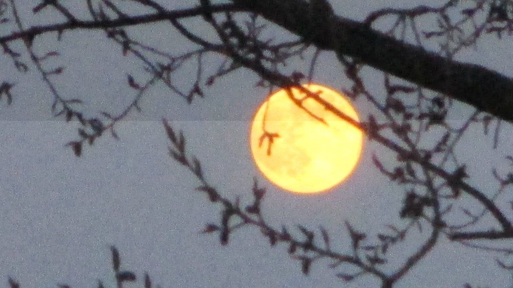 полнолуние