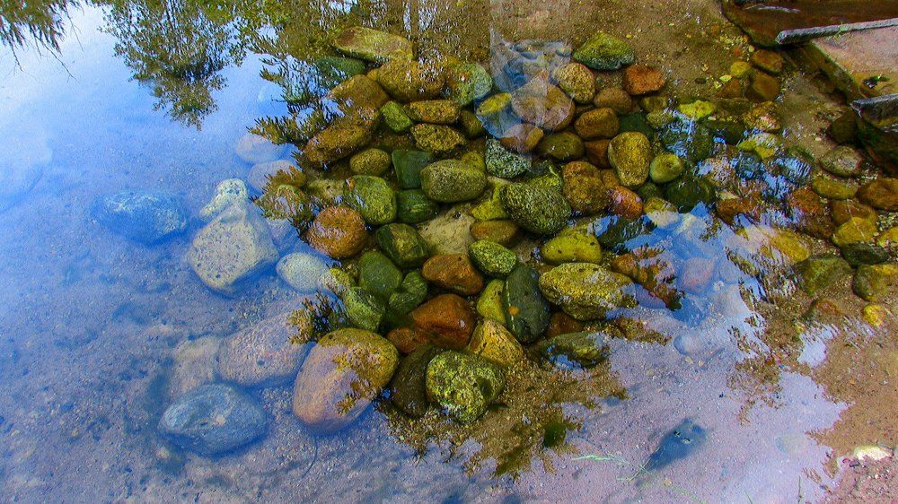 Лесное озеро.