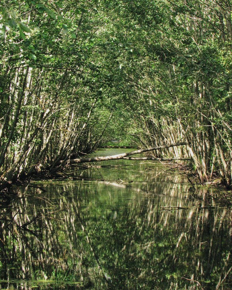 Photograph by Карина Хаустова