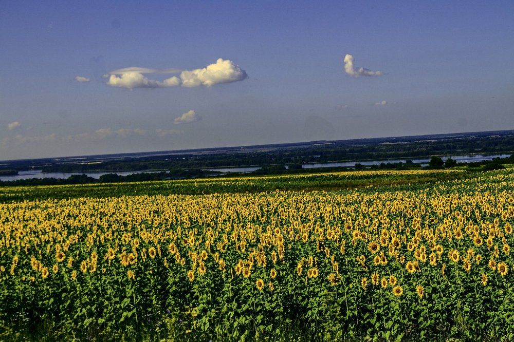 Русь, опоясана реками
