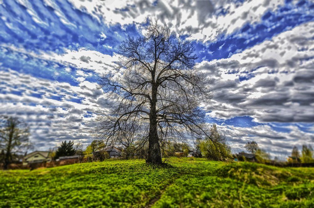 такая весна