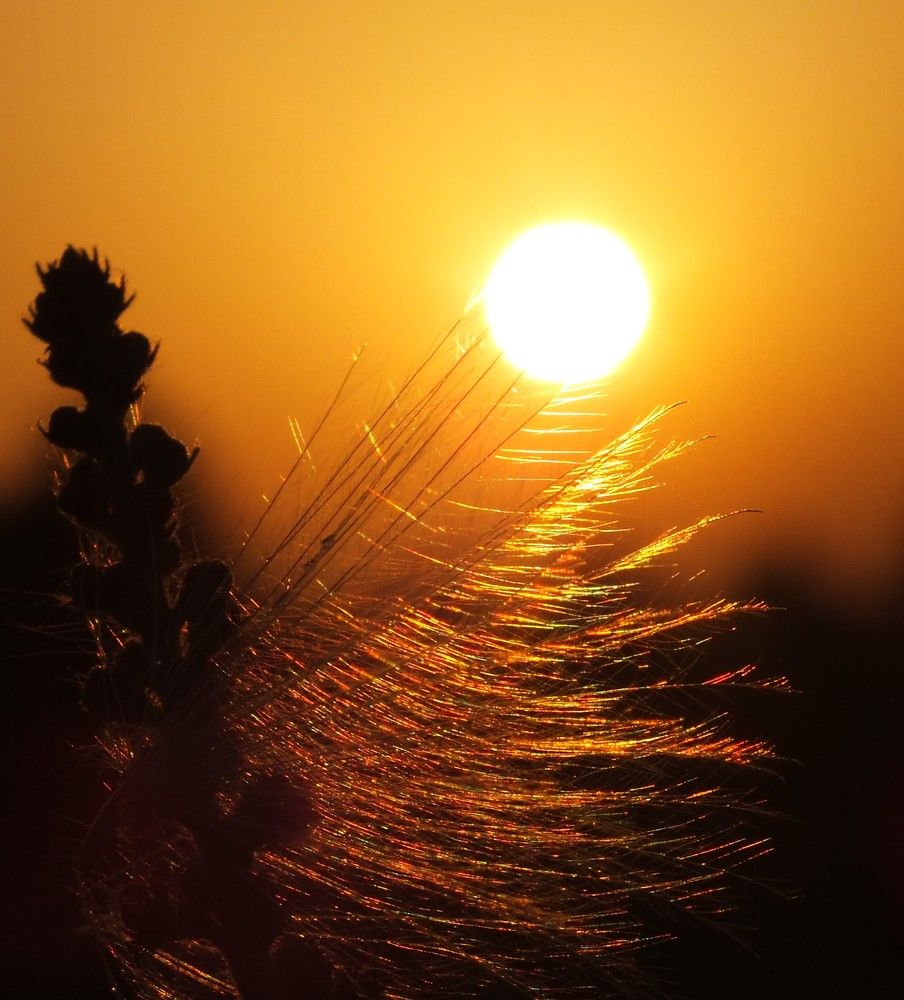 Zalazak u pahulji ljulja