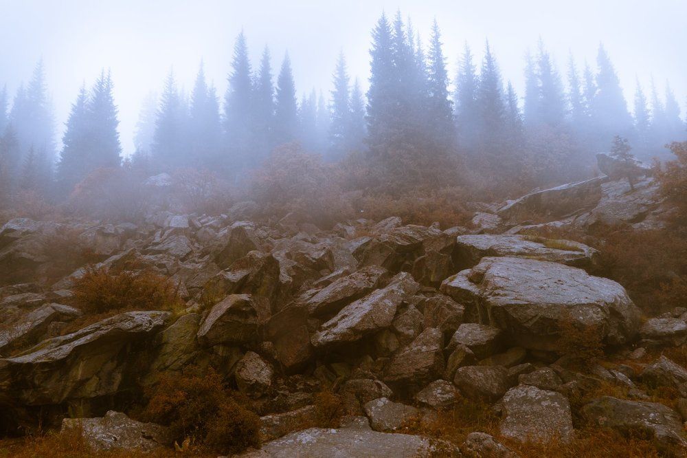 Photograph by Sergey Dulgiyer