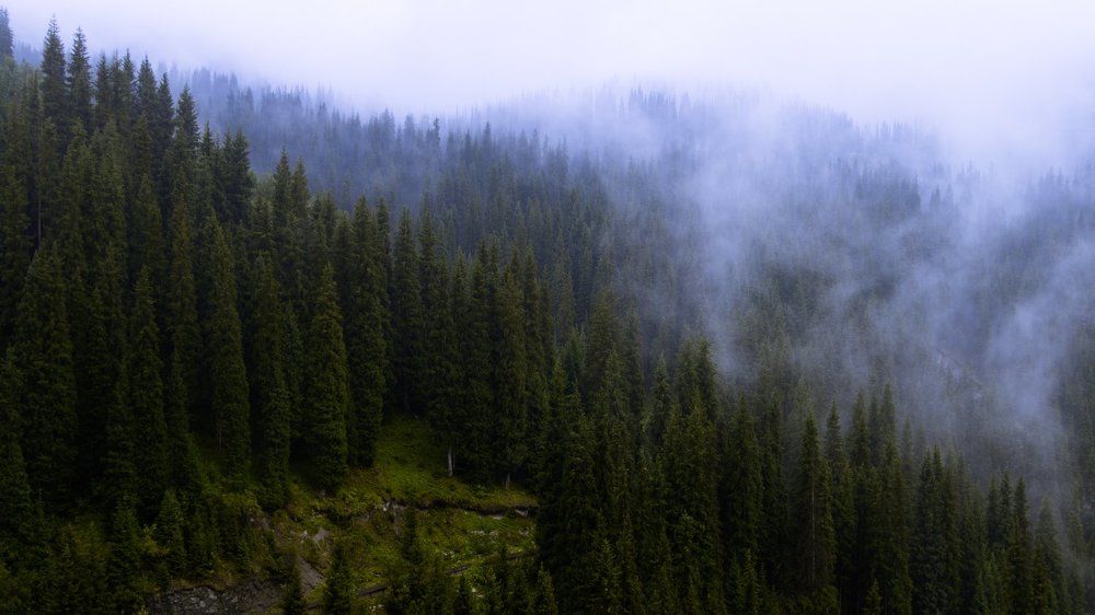 Photograph by Sergey Dulgiyer