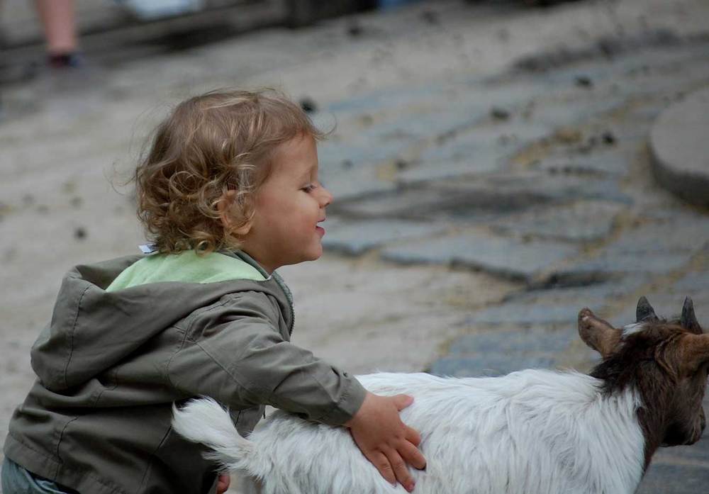 Козленочек