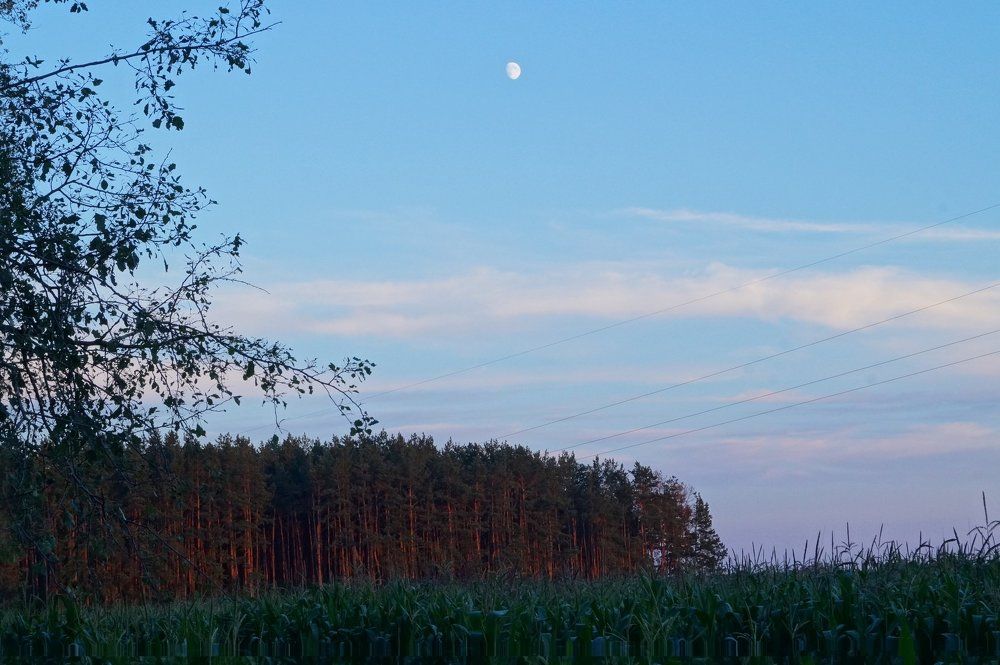 На закате