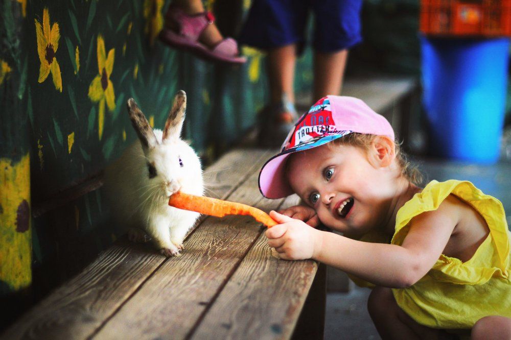 Кушай зайка