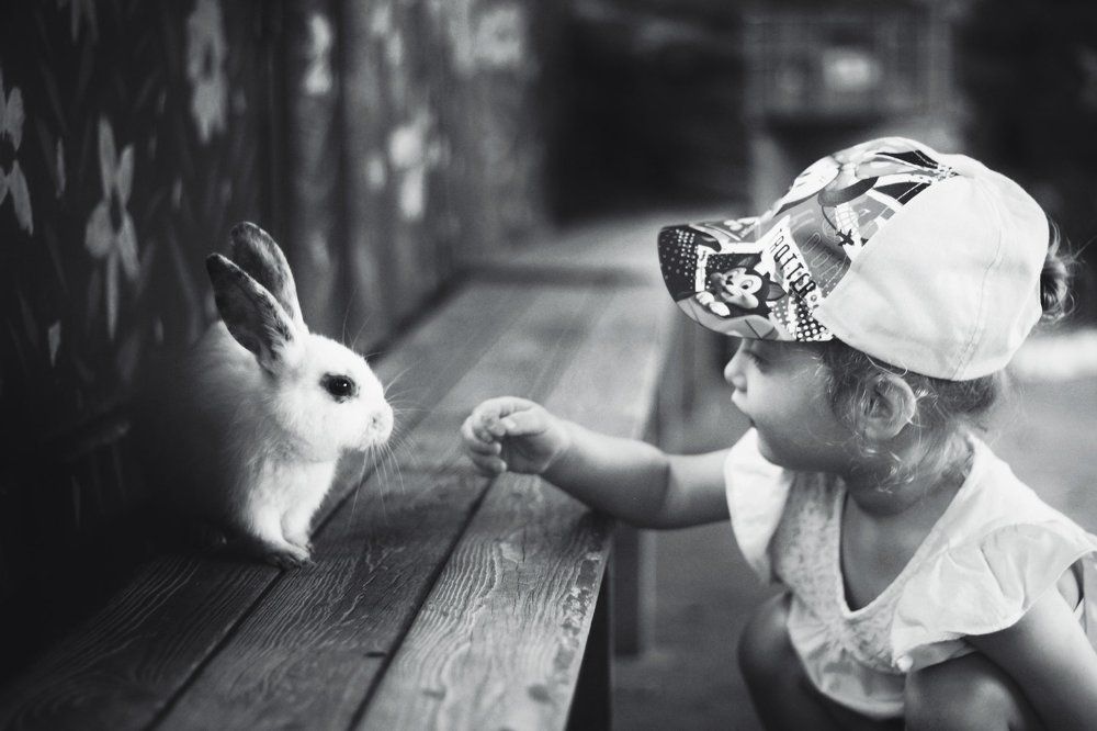 А ты точно не кусаешься