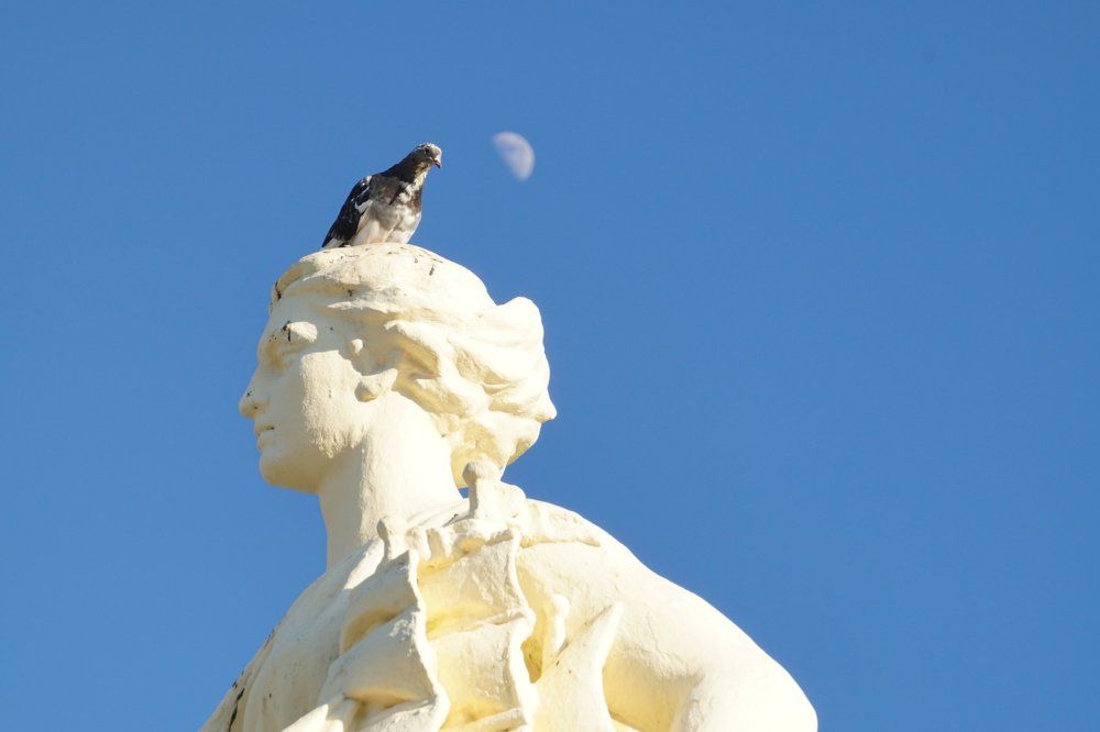 На фоне Луны