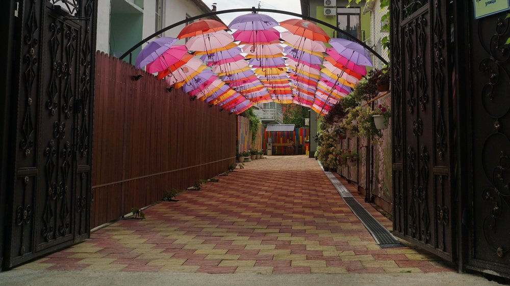 Дождя не будет