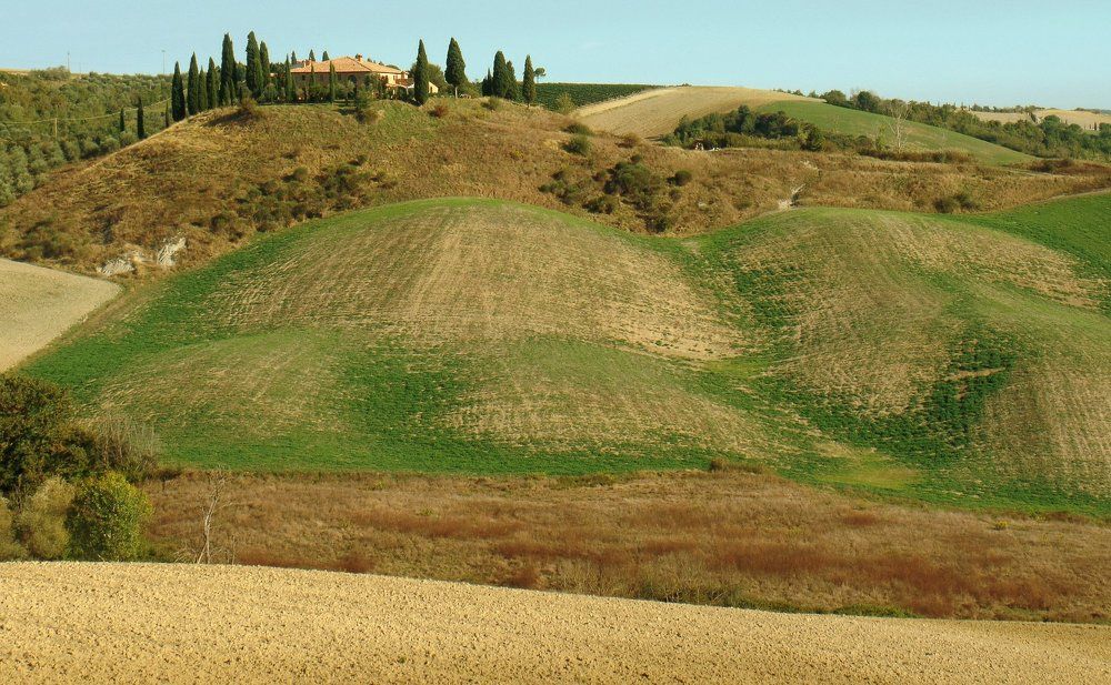 Лоскутные угодья