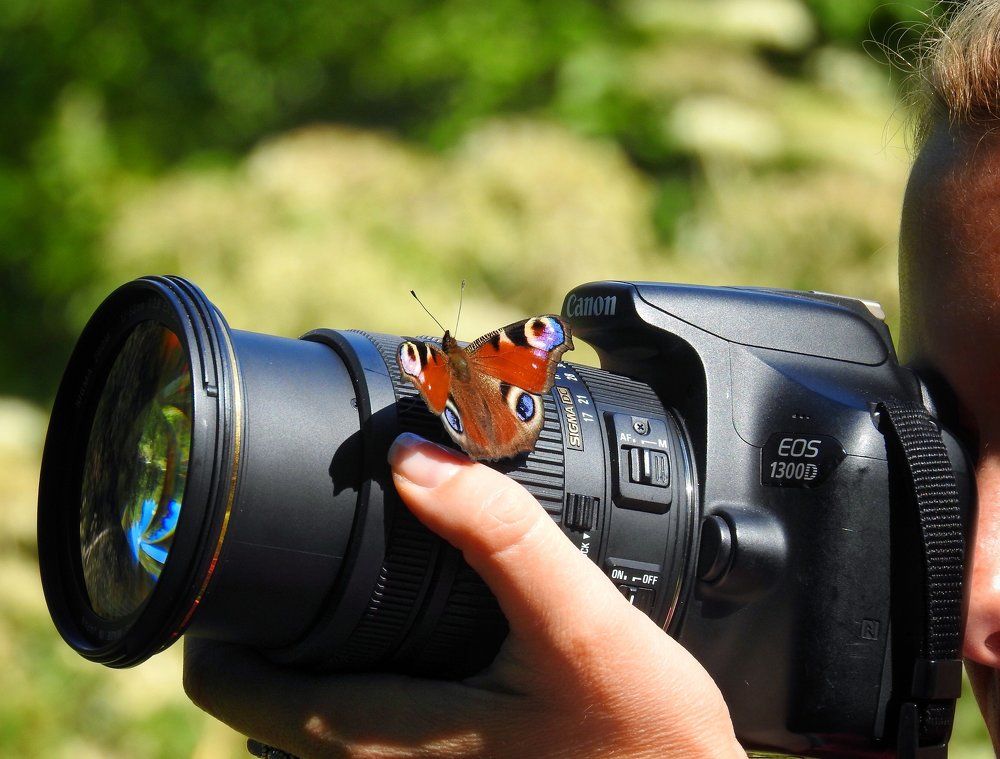 Не меня искала?