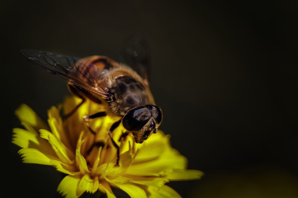 запасы на зиму