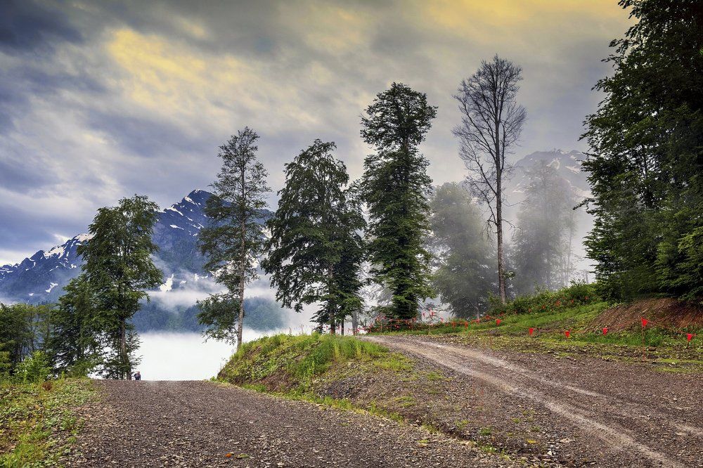 Дорога в облака