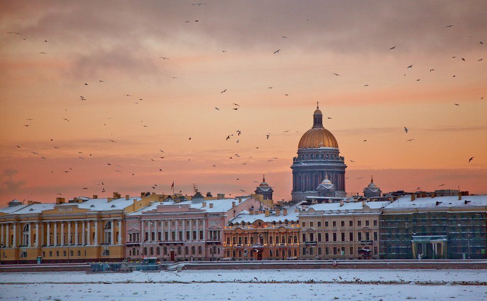 Множества. Птицы над Невой