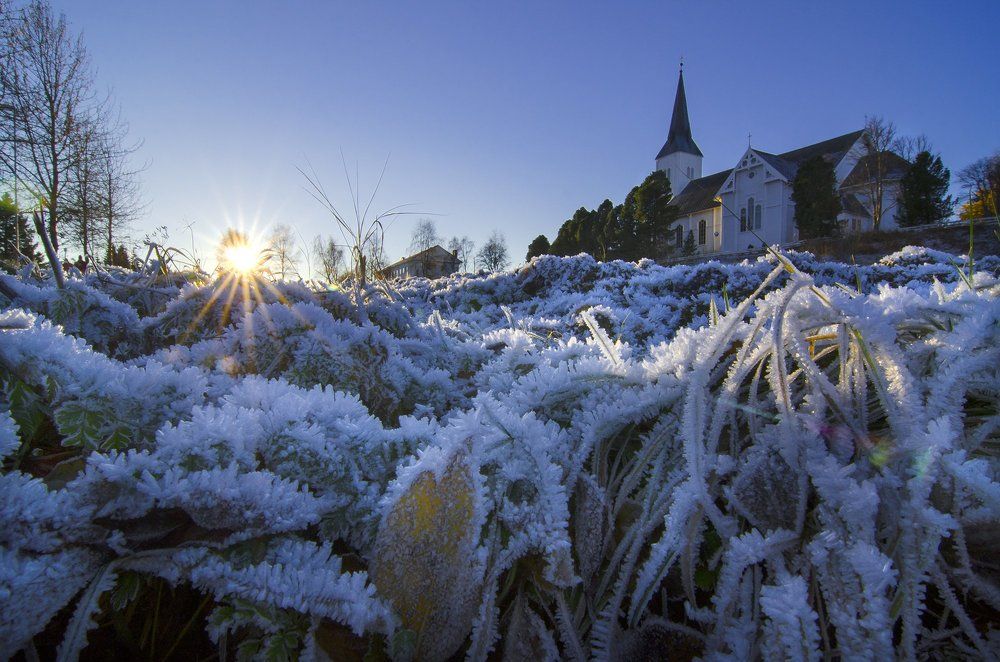 Winter in Shortland