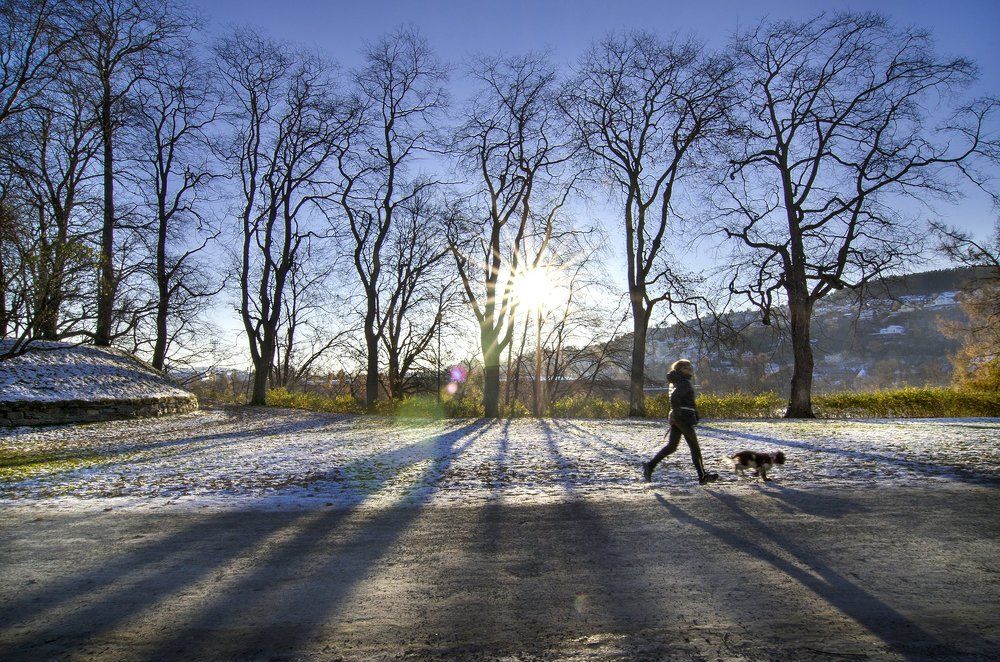 Hangout in the winter